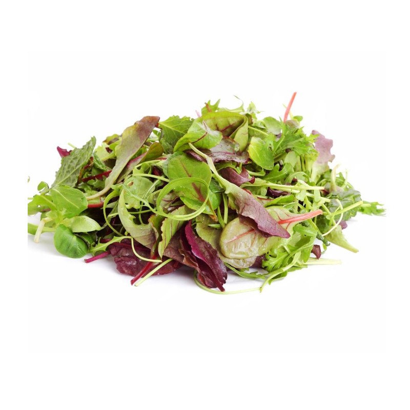 salat-miks-mesclun-125-g-italiya-upakovka