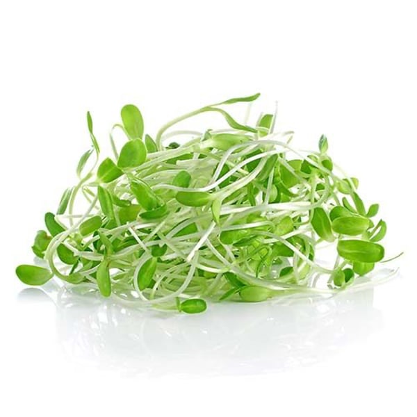 Китайские ростки