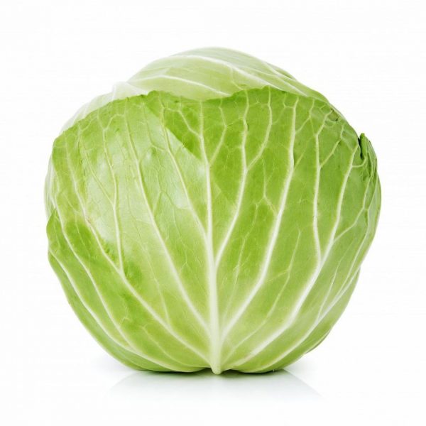 белокочанная капуста